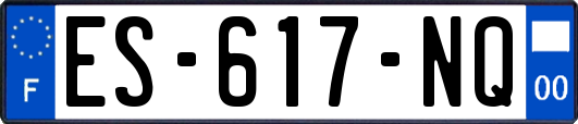 ES-617-NQ