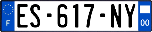 ES-617-NY