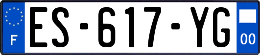 ES-617-YG