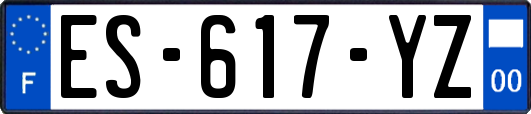ES-617-YZ