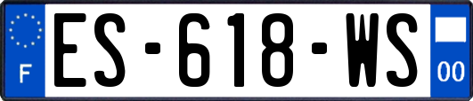ES-618-WS