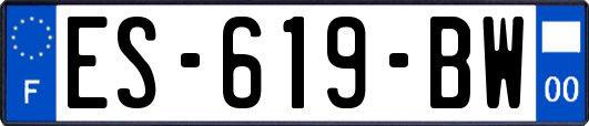 ES-619-BW