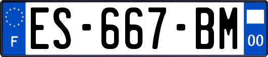 ES-667-BM