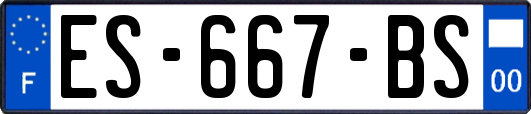 ES-667-BS