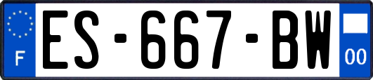ES-667-BW