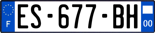 ES-677-BH