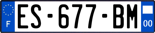 ES-677-BM