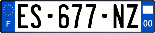 ES-677-NZ