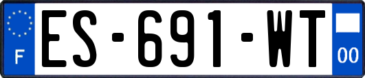 ES-691-WT