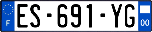 ES-691-YG