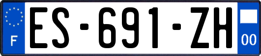 ES-691-ZH