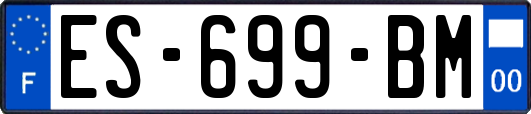 ES-699-BM