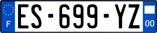 ES-699-YZ