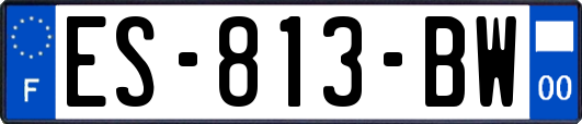 ES-813-BW