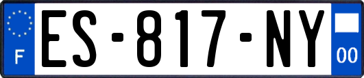 ES-817-NY