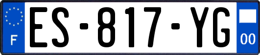 ES-817-YG