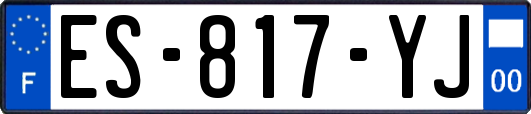 ES-817-YJ