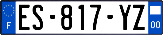 ES-817-YZ