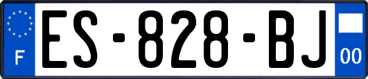 ES-828-BJ