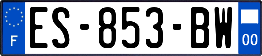 ES-853-BW