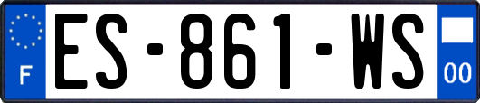 ES-861-WS
