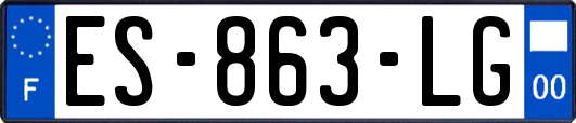 ES-863-LG