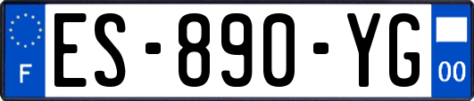 ES-890-YG