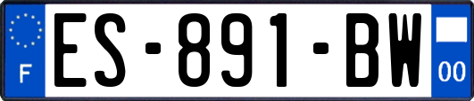 ES-891-BW