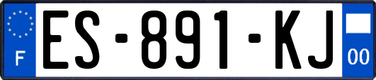 ES-891-KJ