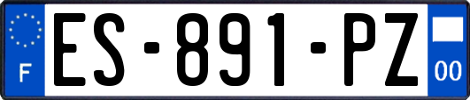 ES-891-PZ
