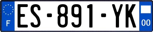 ES-891-YK