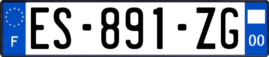 ES-891-ZG