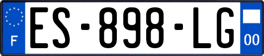 ES-898-LG