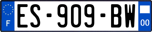 ES-909-BW