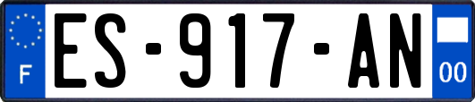 ES-917-AN