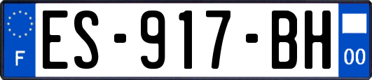 ES-917-BH