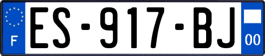 ES-917-BJ