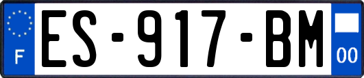 ES-917-BM