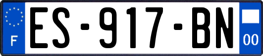 ES-917-BN