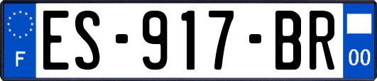 ES-917-BR