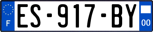 ES-917-BY