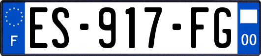 ES-917-FG