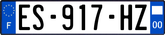 ES-917-HZ
