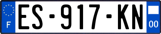ES-917-KN