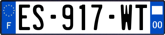 ES-917-WT