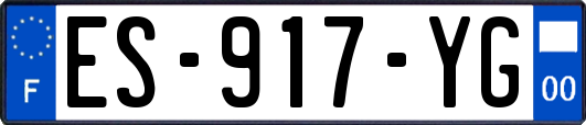 ES-917-YG