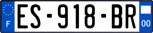 ES-918-BR