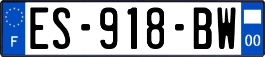 ES-918-BW