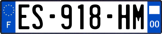 ES-918-HM