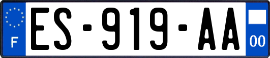 ES-919-AA